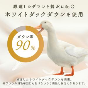 西川 羽毛肌掛け布団 シングルロング ホワイト...の詳細画像5