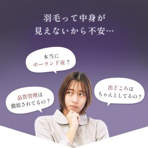 羽毛布団 シングル プレミアムゴールドラベル ...の詳細画像2