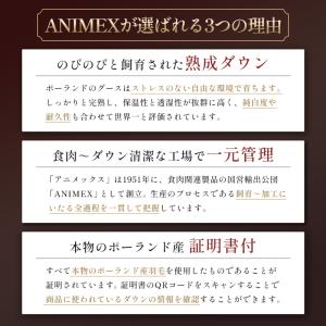 羽毛布団 セミダブル プレミアムゴールド マザ...の詳細画像3