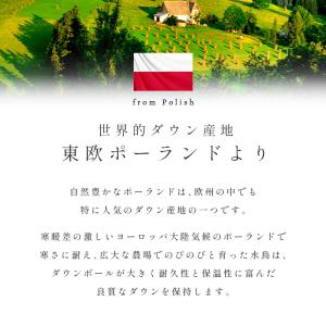 羽毛布団 セミダブル プレミアムゴールド マザ...の詳細画像5