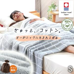 今治タオル（imabari towel） 今治タオルケット 2枚セット ハーフ 100