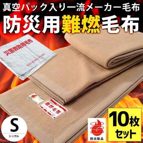 毛布 シングル 10枚 真空パック入り燃えにくい防災 難燃 防炎 掛け毛布 業務用 まとめ買い 備蓄...