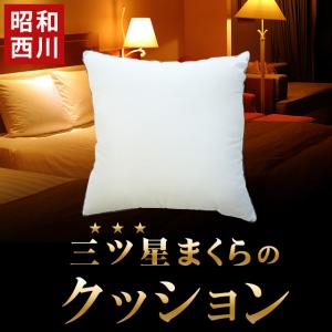 昭和西川 クッション ウォッシャブル ホテルモード ピロー 洗える