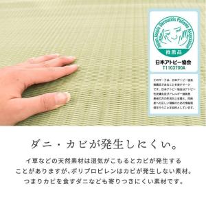 い草風PPラグ 3畳 江戸間 174×261c...の詳細画像4