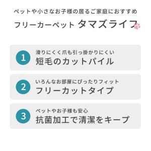 カーペット 6畳 261×352cm 日本製 ...の詳細画像5