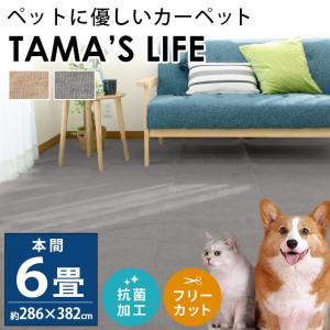 カーペット 絨毯 本間 6畳 286×382cm 日本製 ペット対応 対策 じゅうたん 抗菌 フリーカット タマズライフ 小型犬 猫