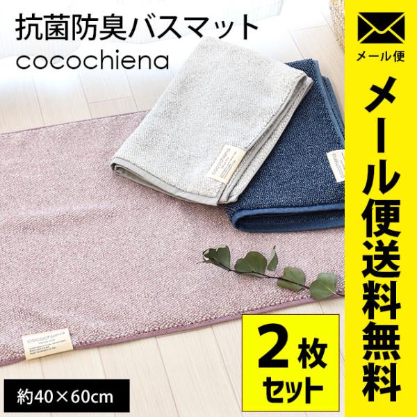 バスマット 2枚セット タオル地 40×60cm 高吸水糸使用 抗菌 防臭 足ふきマット ココチエナ...