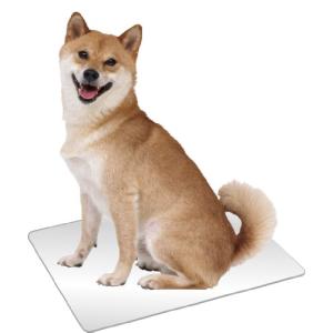 犬 アルミプレートの商品一覧 通販 Yahoo ショッピング