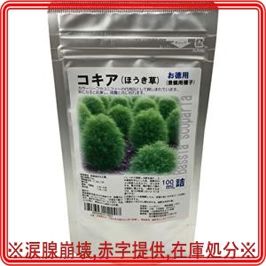 コキア 苗の商品一覧 通販 Yahoo ショッピング