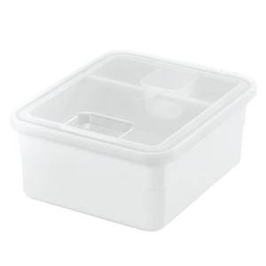 リッチェル(Richell) トトノ 引き出し用 米びつR 5キロ ホワイト収納 家庭 ハウス 用品 コンパクト 野菜室 シンク下 プラスチック