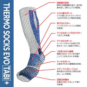 ディーラックス サーモソックスエボタビプラス ...の詳細画像4