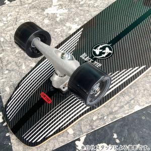 カーバー CARVER BLACK TIP C...の詳細画像3