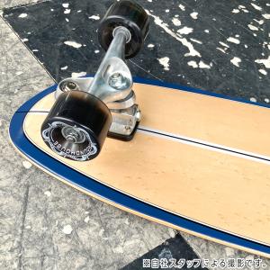 カーバー CARVER 30-Year Lim...の詳細画像3