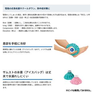 ザムスト ZAMST アイスバッグ アイシング...の詳細画像1
