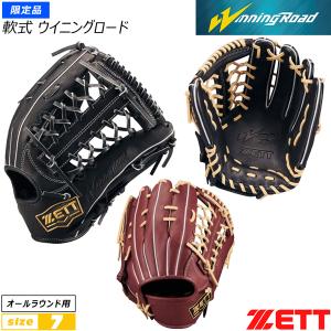 mizuno(ミズノ) 一般軟式グラブ ミズノプロ プロフェッショナル 【今宮