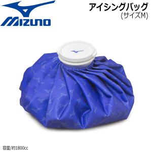 野球 MIZUNO ミズノ アイシングバッグ 氷嚢 氷のう サイズM 1GJYA32600｜move