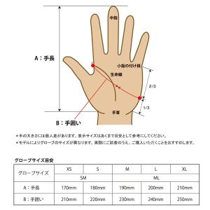 25-26 エビス ポーラーテックグリッドイン...の詳細画像5