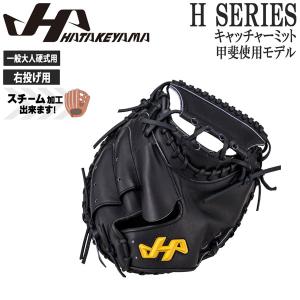 ハタケヤマ（HATAKEYAMA） あすつく 甲斐モデル H-G10B ブラック M8型