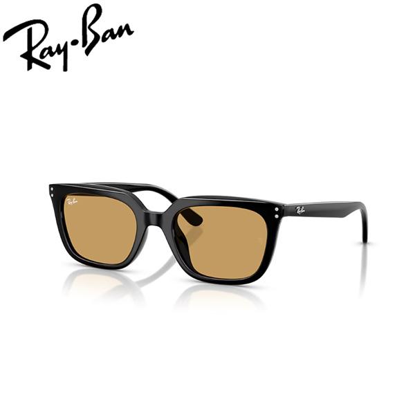 レイバン サングラス RayBan RB4439D 901/73 54 フレーム：BLACK レンズ...