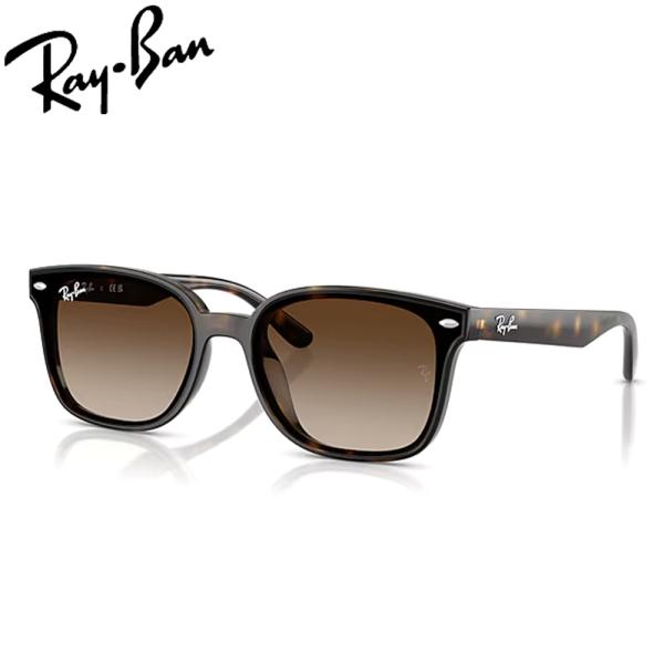 レイバン サングラス RayBan RB4461D 710/13 64 フレーム / HAVANA ...