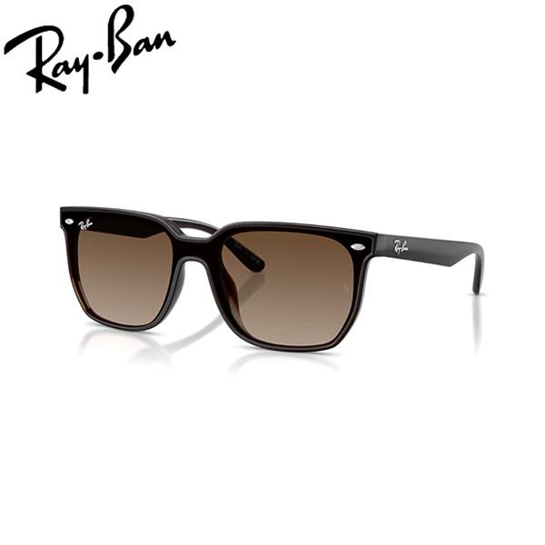 レイバン サングラス RayBan RB4466D 714/13 47 フレーム：TRANSPARE...