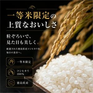 【一等米】 新米 徳島県産 コシヒカリ 5kg...の詳細画像3