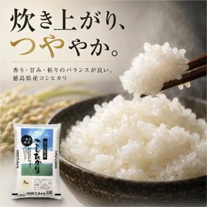 【一等米】 新米 徳島県産 コシヒカリ 5kg...の詳細画像4