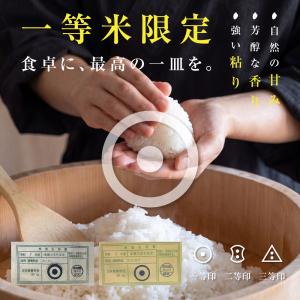 【一等米】 新米 徳島県産 コシヒカリ 5kg...の詳細画像5