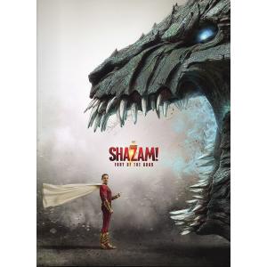 シャザム！　神々の怒り／2023年／ザカリー・リーバイ、アッシャー・エンジェル、ジャック・ディラン・グレイザー/DC作品