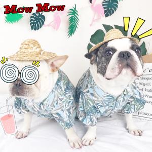 犬 服 犬服 犬の服 秋冬 mowmow アロハシャツ 旅行 夏 ペットウェア ドッグウェア かわいい 海 川 リゾート ペット用品 ds0016