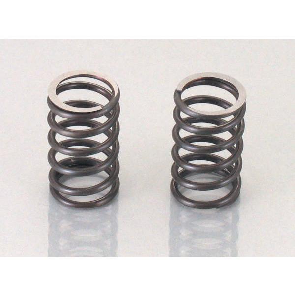 キタコ モンキー LIGHTバルブスプリングSET /303-1083300