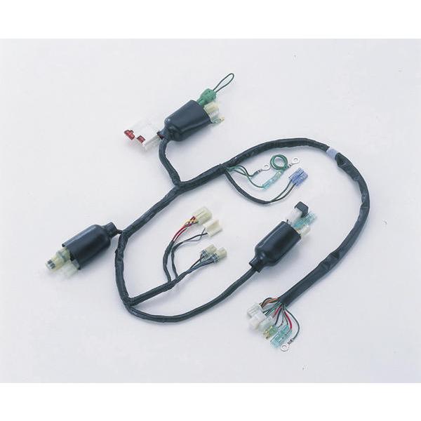 CF POSH 12Vモンキー強化メインハーネスキット/271402