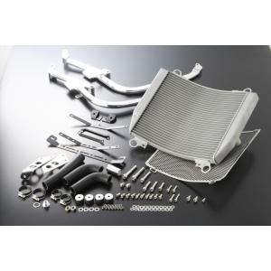 アクティブ GPZ900R ビッグラジエターキットTYPE-1 (5057021)