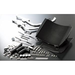 アクティブ　ビッグラジエーター ACTIVE（アクティブ） ビッグラジエーターキット [TYPE-2] カラー