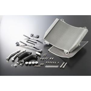 アクティブ GPZ900R ビッグラジエターキットTYPE-2 (5057022)