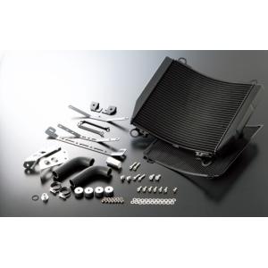 ACTIVE(アクティブ) ステーセット TYPE-1/3 GPZ750R/GPZ900R