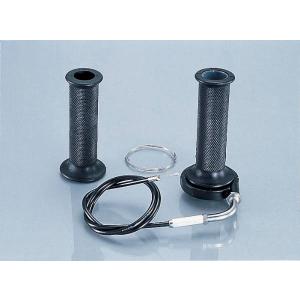 DAYTONA（デイトナ） デンスピ変換アダプターTWIN Type (93390) : por