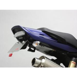 DAYTONA（デイトナ） DAYTONA Kawasaki ZRX1200DAEG フェンダーレス