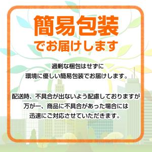 ダンス衣装 チュチュ フリーサイズ チュチュス...の詳細画像5