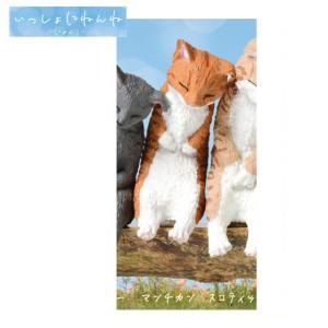 いっしょにねんね にゃんこ 「マンチカン」 エー...の商品画像