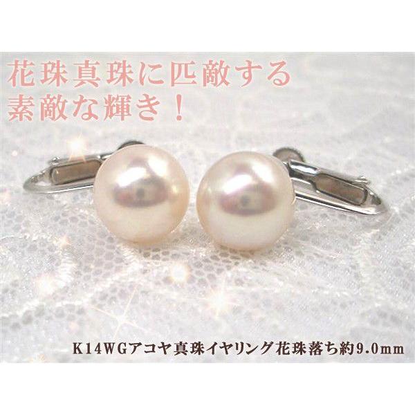 驚き、花珠級のテリ、K14WGアコヤ真珠イヤリング花珠落ち約9.0mm