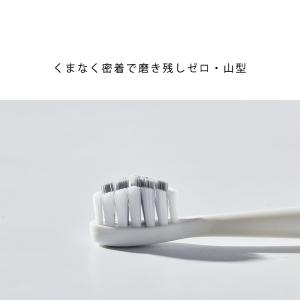 替えブラシ【5本入り】OKare!シリーズ 電...の詳細画像4