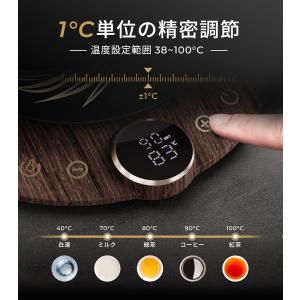 「敬老の日」 電気ケトル エペイオス EPEI...の詳細画像2