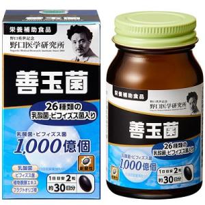 野口医学研究所 納豆キナーゼEX 90粒 3000FU 賞味期限2027.07以降