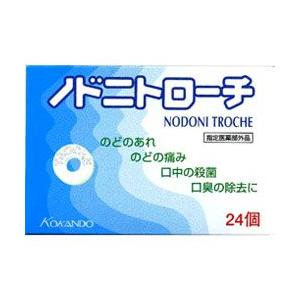 皇漢堂製薬 ノドニトローチ　２４個 （指定医薬部外品）※お取り寄せ商品｜mprice-shop