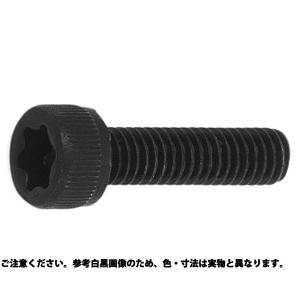 ステンＴＯＲＸ−ＣＡＰ 材質(ステンレス) 規格(10X20) 入数(100) 【ＴＯＲＸ−ＣＡＰシリーズ】｜mproshop