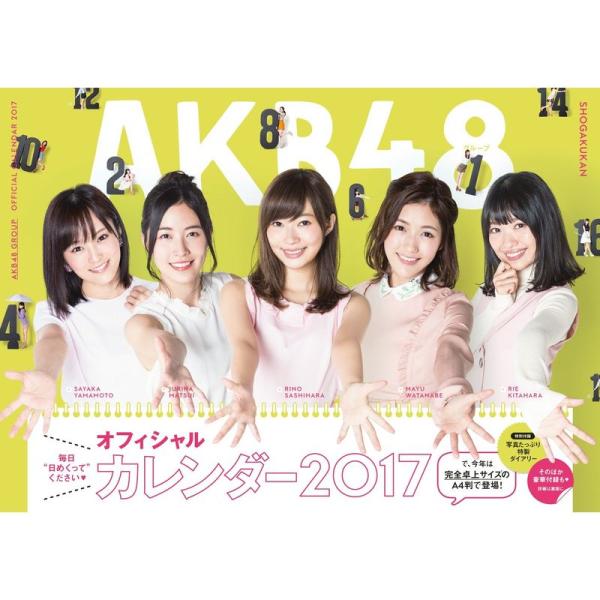AKB48グループ オフィシャルカレンダー2017 (カレンダー)