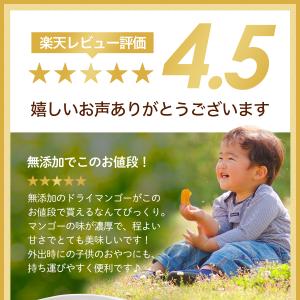 ドライフルーツ ドライ マンゴー 形不揃い 保...の詳細画像1