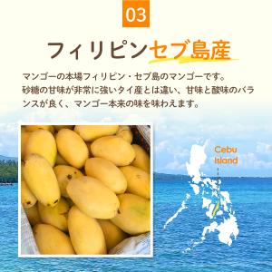 ドライフルーツ ドライ マンゴー 形不揃い 保...の詳細画像5