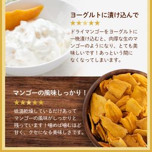 ポイント消化 ポイント消費 ドライフルーツ ド...の詳細画像3